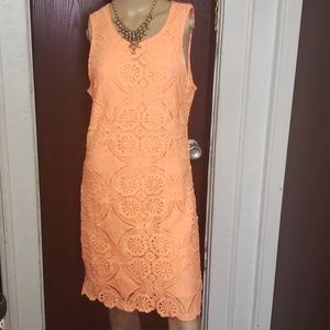 Ladys Fashion lace organs dress